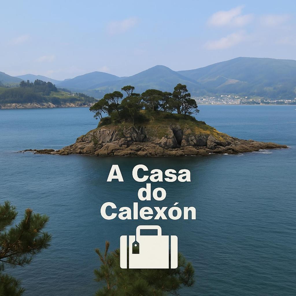 A Casa Do Calexon Διαμέρισμα Viveiro Εξωτερικό φωτογραφία